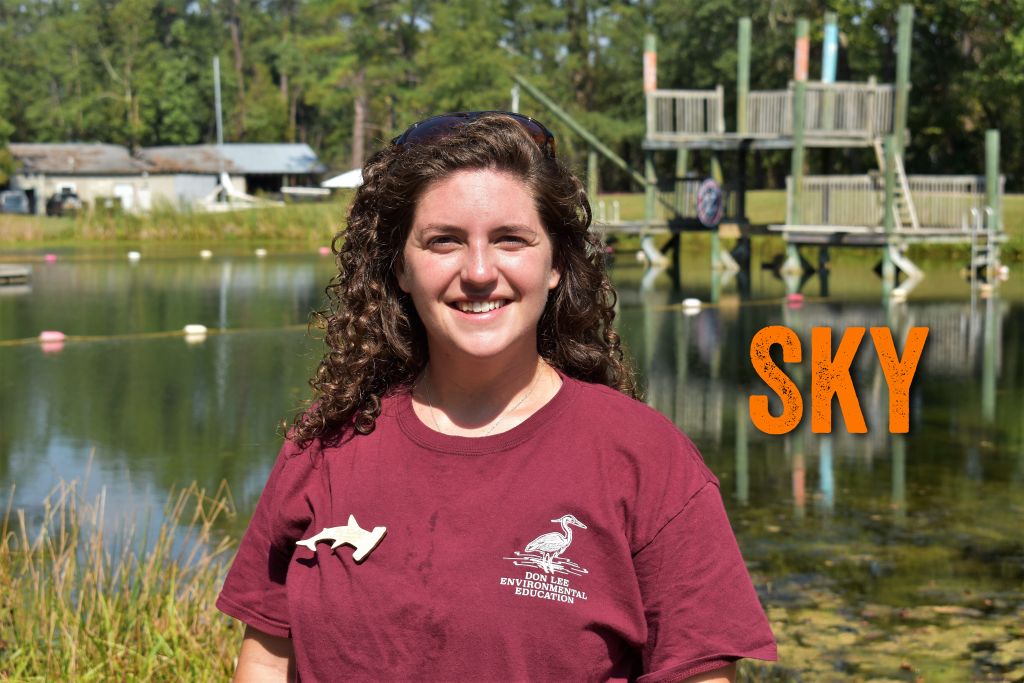 Hey I am Sky Elledge. I’ve recently moved from Atlanta, GA working as a competitive gymnastics coach to join the Summer 2019 Summer Staff and Fall 2019 Coastal Staff. After a great Summer, I am looking forward to a fun filled Fall with ‘fingers crossed’ for more dolphin!